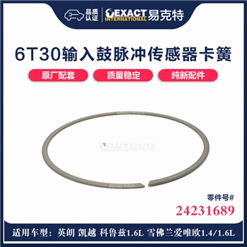 卡簧/脉冲发生器