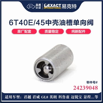 单向阀/中壳油槽