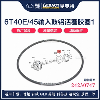 胶圈/4-5-6档活塞