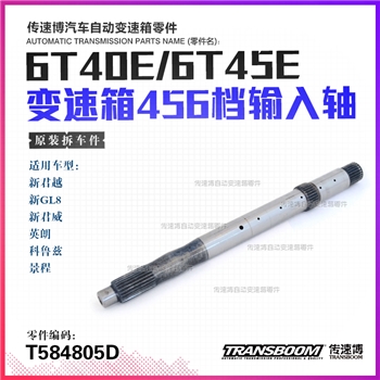 输入轴/262mm