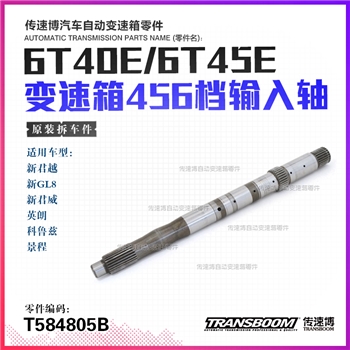 输入轴/268mm