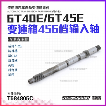 输入轴/272mm