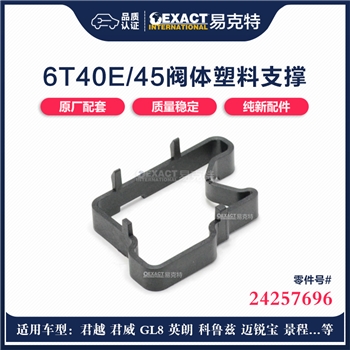 支撑架/阀体上