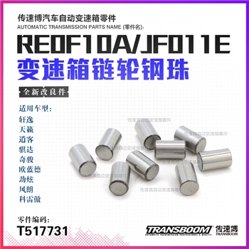 链轮钢珠